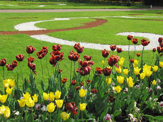 Similar image 172403