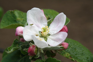 Similar image 172406