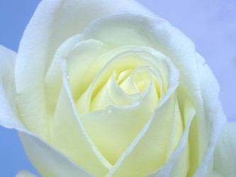 Similar image 172408