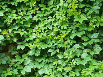 Similar image 172419