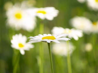 Similar image 172420