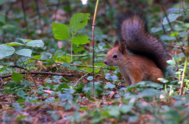 Similar image 172423