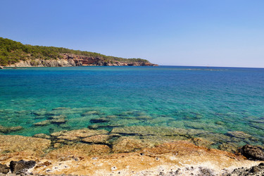 Similar image 172428