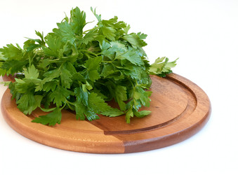 Similar image 172430