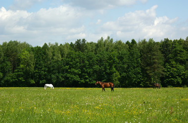 Similar image 172437