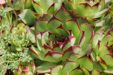 Similar image 172454