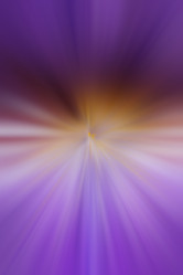 Similar image 172461