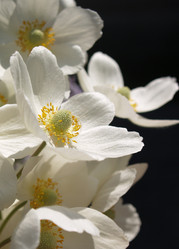 Similar image 172471