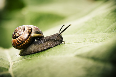 Similar image 172479