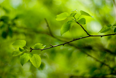 Similar image 172499