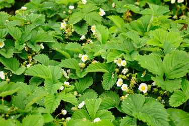 Similar image 172508