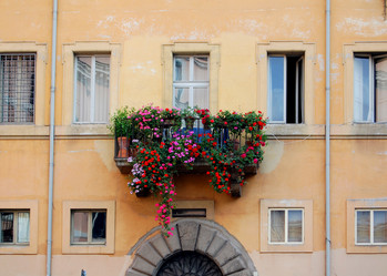 Similar image 172513