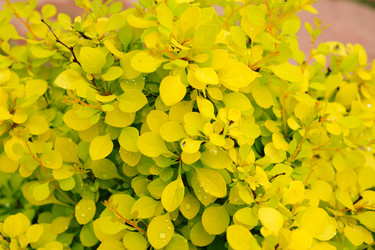 Similar image 172514