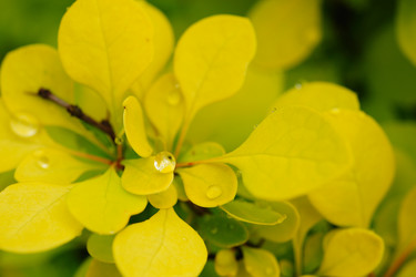 Similar image 172518