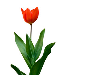 Similar image 172521