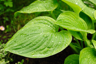 Similar image 172522