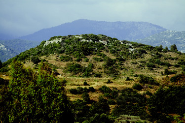 Similar image 172528