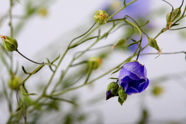 Similar image 172529