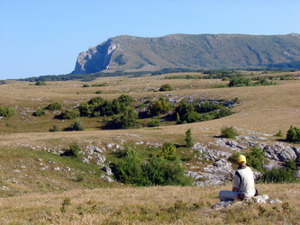 Similar image 172536