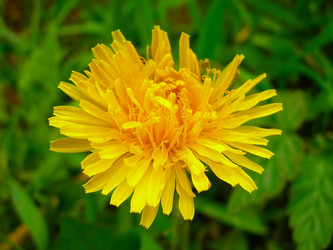 Similar image 172567