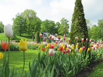 Similar image 172605