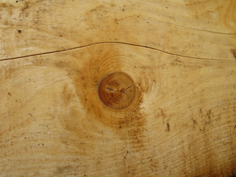 Similar image 172606