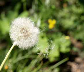 Similar image 172631