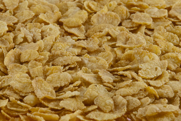 Similar image 172634