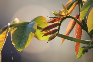 Similar image 172644