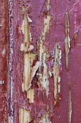 Similar image 172645