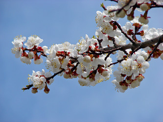 Similar image 172651