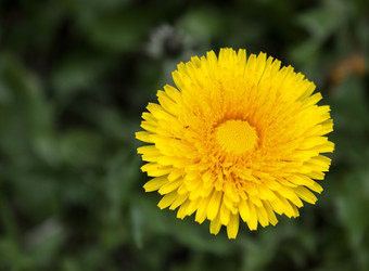 Similar image 172653