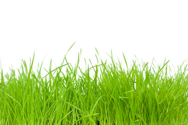 Similar image 172659