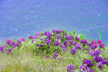 Similar image 172683