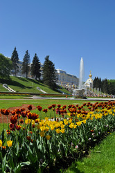 Similar image 172700