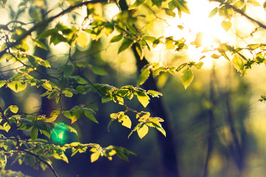 Similar image 172717