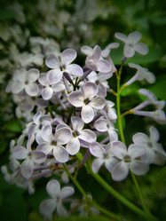 Similar image 172720