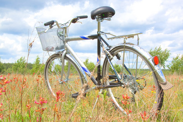 Similar image 172722