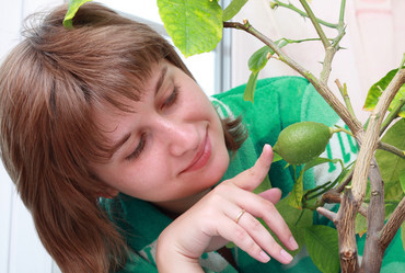 Similar image 172739