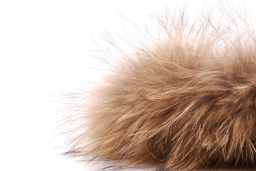 Similar image 172765