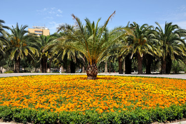 Similar image 172774