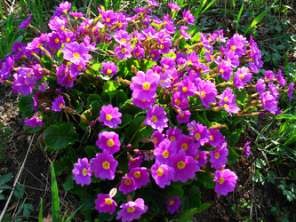 Similar image 172806