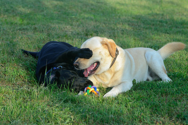 Similar image 172819