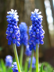 Similar image 172825