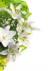 Similar image 172866