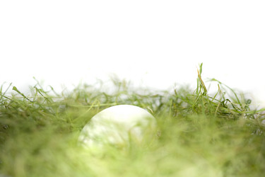 Similar image 172929