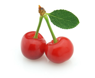 Similar image 172934