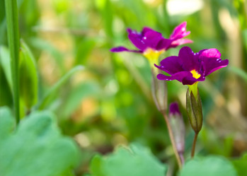 Similar image 172977