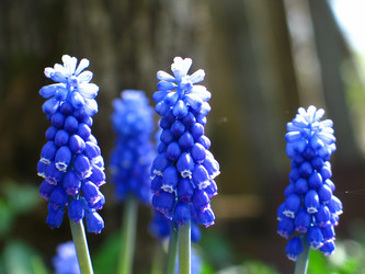 Similar image 172978