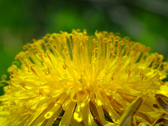 Similar image 172984